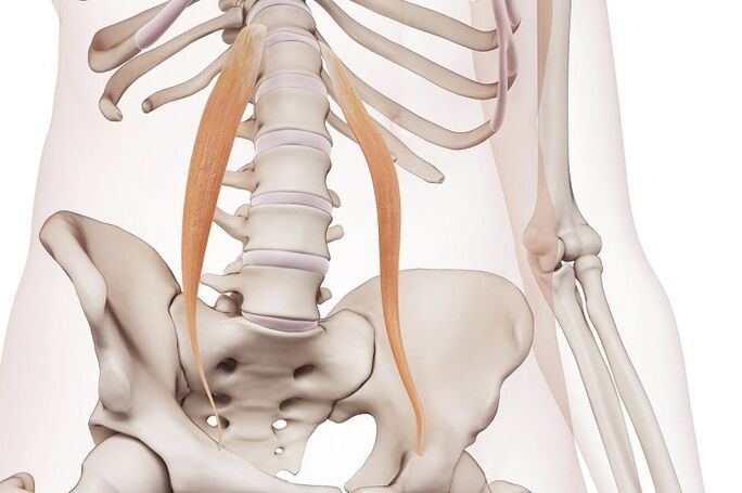 osteocondrose espinal na rexión lumbar a esencia da enfermidade